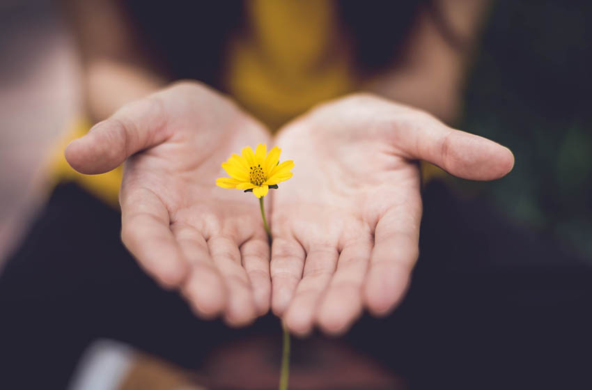 Un regard vers l’avenir - environnement