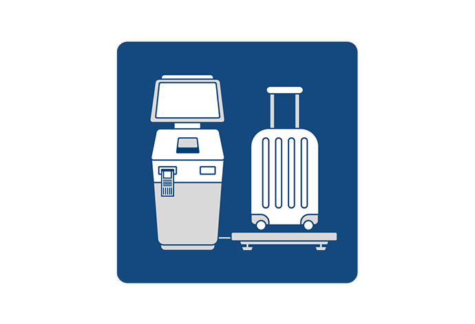 SysTec Flight Baggage Scale