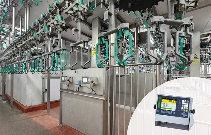 SysTec Wägeelektronik: Geflügelverarbeitungsanlage SysTec Wägeelektronik: Geflügelverarbeitungsanlage