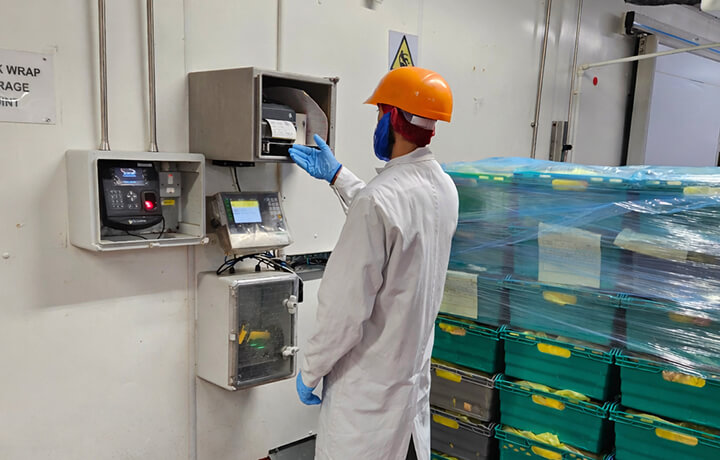 Labeling Palettenboxen Labeling Palettenboxen