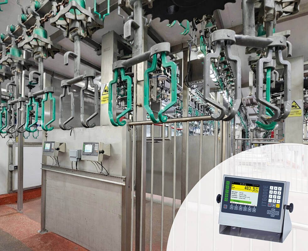 Geflügelverarbeitungsanlage mit Wägeelektronik von SysTec Geflügelverarbeitungsanlage mit Wägeelektronik von SysTec